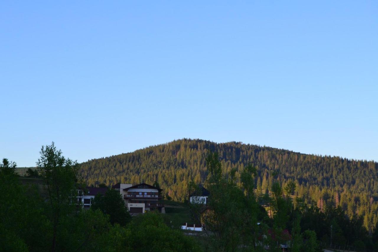 Chalet First Hill Gura Humorului Eksteriør billede